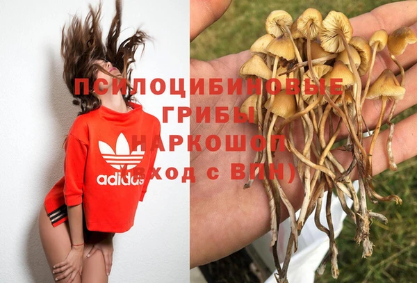 твердый Алексеевка