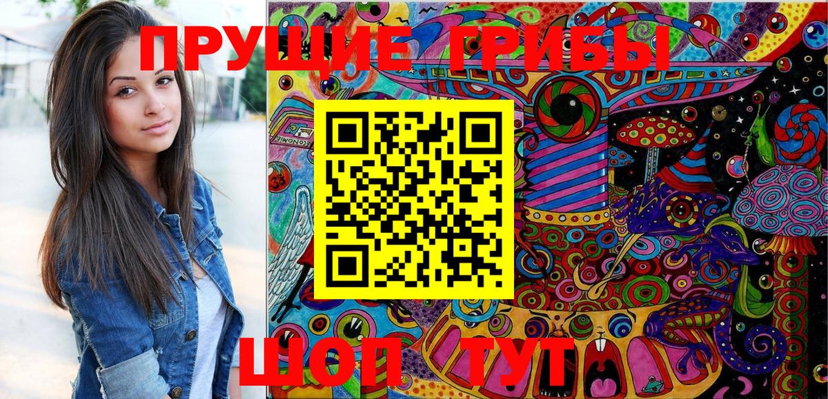 Псилоцибиновые грибы Psilocybine cubensis  Вход с VPN  Губкин 