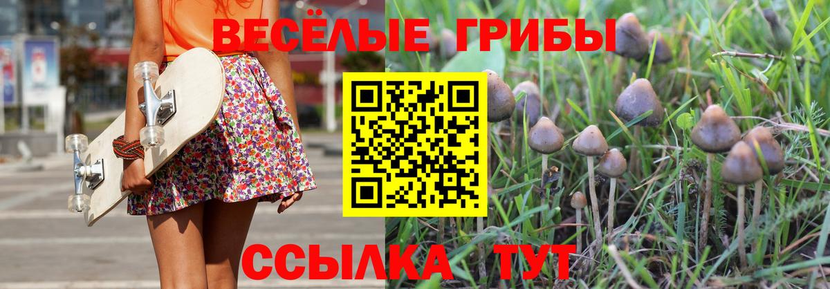 Галлюциногенные грибы GOLDEN TEACHER Губкин